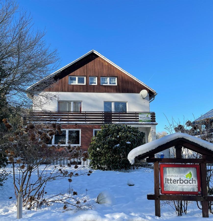 Landhaus Am Itterbach Willingen Виллинген Экстерьер фото